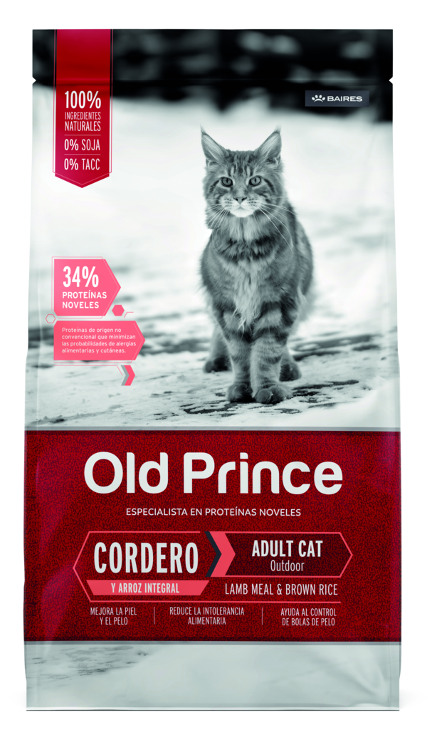 Old Prince Cordero Gato Adulto